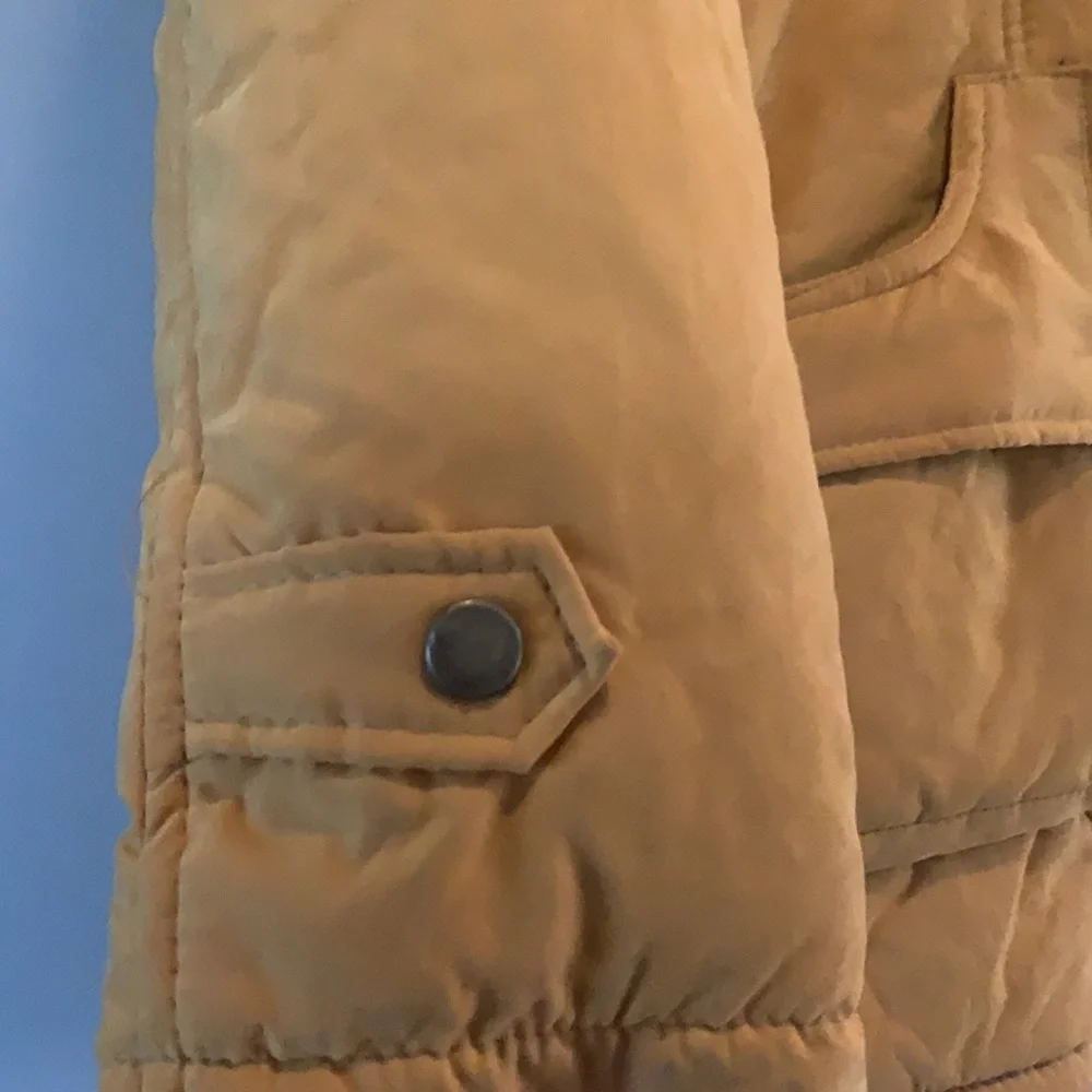 Cute Yellow Jacket - Picture 6 of 11